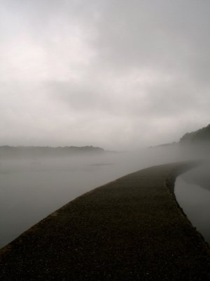 Photo - Misty Path