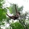 Angel Flight