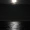 Moonlight Tide