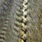 Liquid Spine