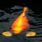Angry Fish